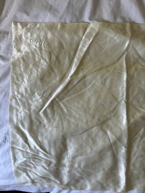 Blissy Silk Pillowcase in Pale Champagne